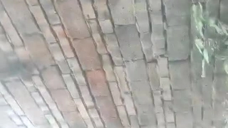 少女继妹在热辣视频中学习阴茎