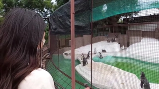【桃视频】青楼艳谭除妖不成反被奸-陈可心 MAD-041