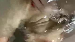 通话